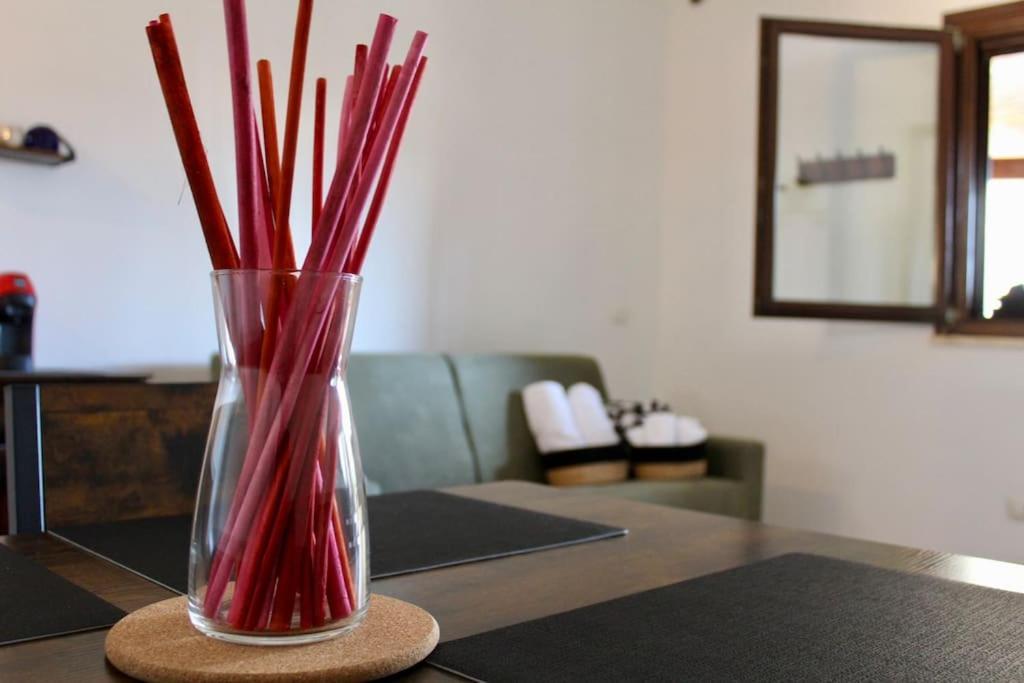 フィウミチーノThe Garden House Fco, Self Check In And Free Private Parkingアパートメント エクステリア 写真